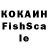 COCAIN Fish Scale Dan Reinhard