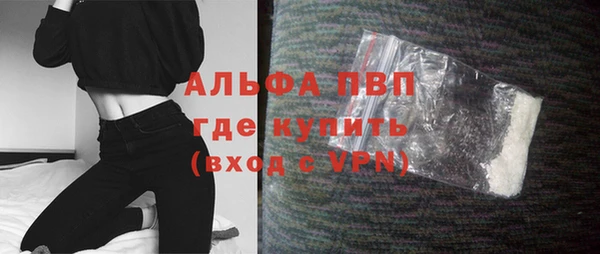 крисы Алзамай