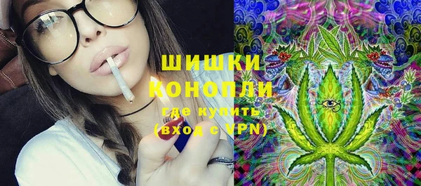 крисы Алзамай