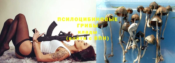 крисы Алзамай