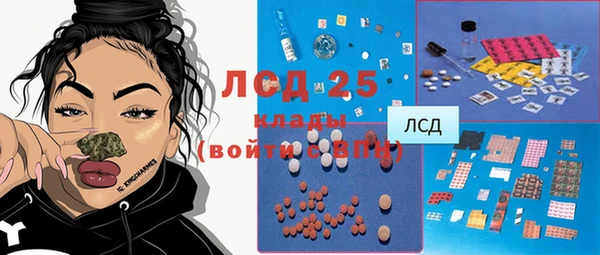 крисы Алзамай