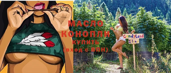 СК Алексин