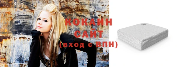 СК Алексин